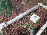 image of grave number 358348